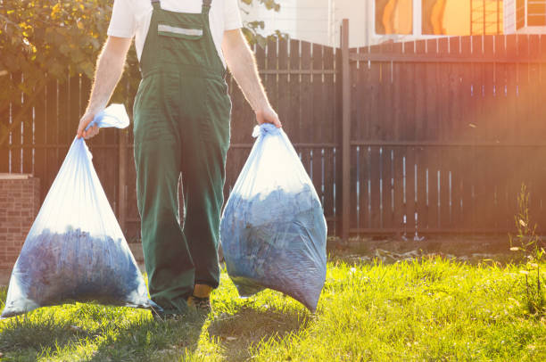 Best Basement Cleanout  in Brevard, NC